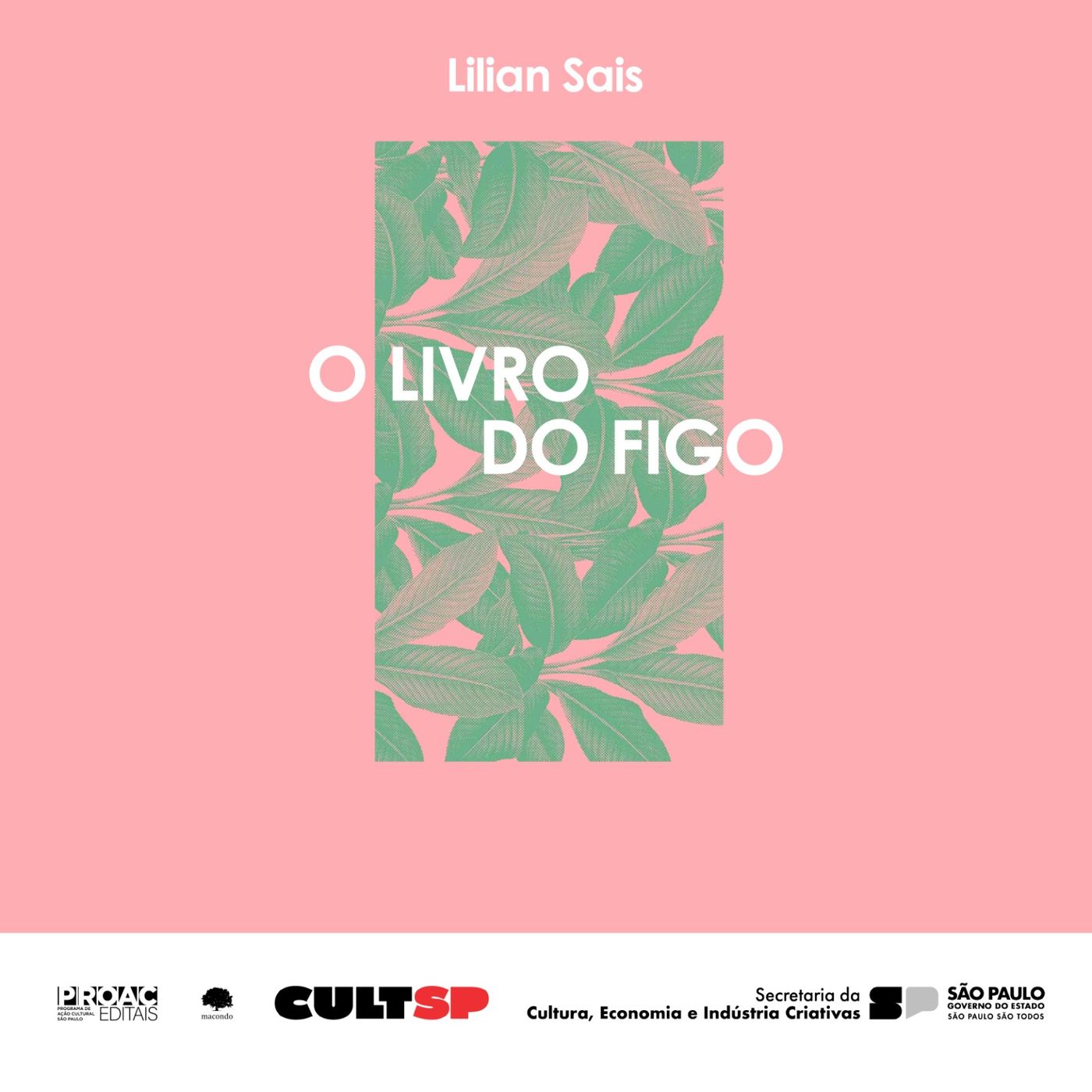 Audiolivro - O Livro do Figo