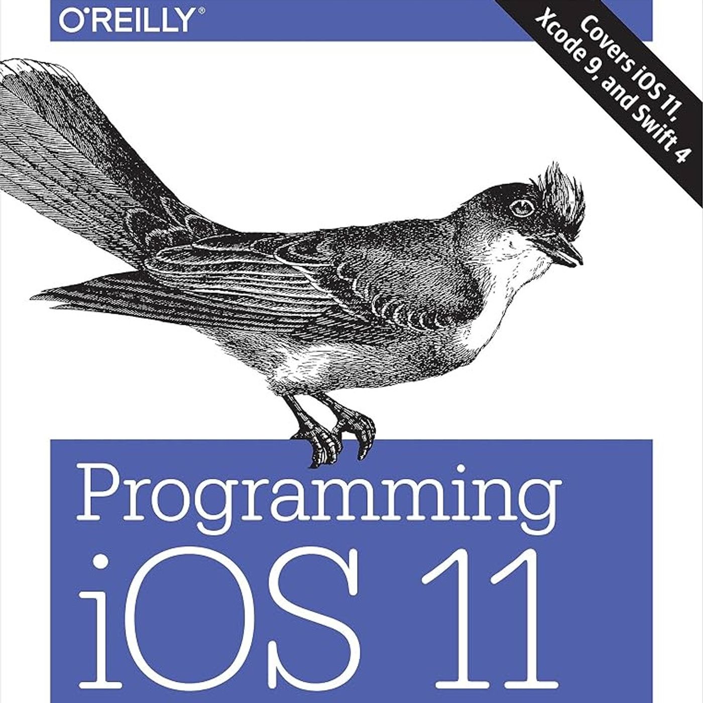 Programming iOS 11: Dive Deep into Views, View Controllers, and Frameworks