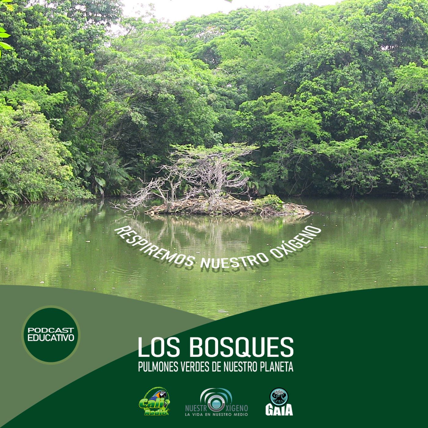 2024 Nuestro Oxigeno 01- Enero