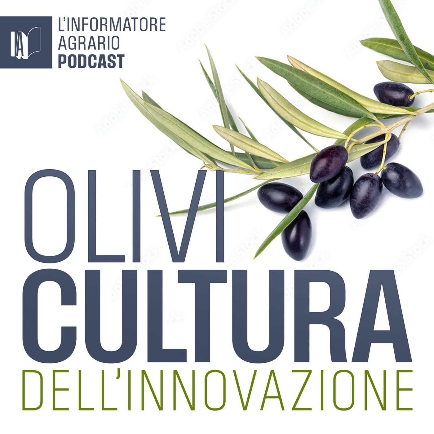 OliviCultura dell'innovazione