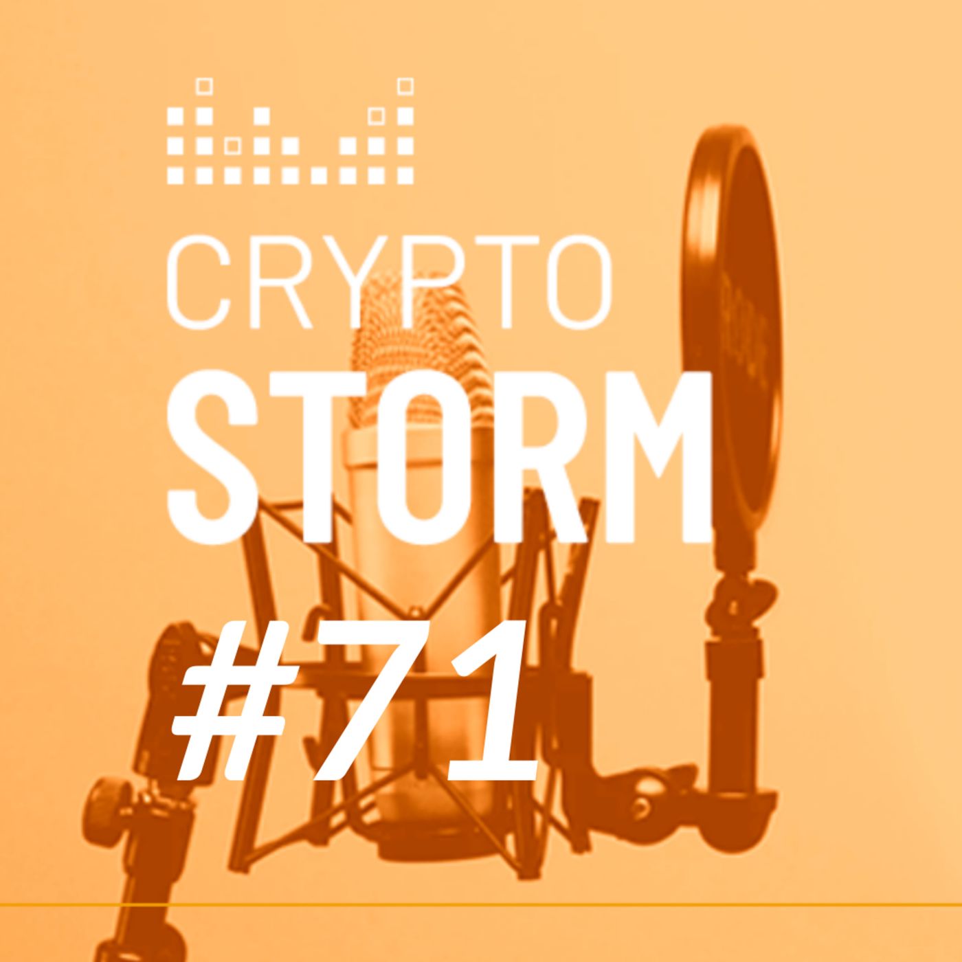Crypto Storm