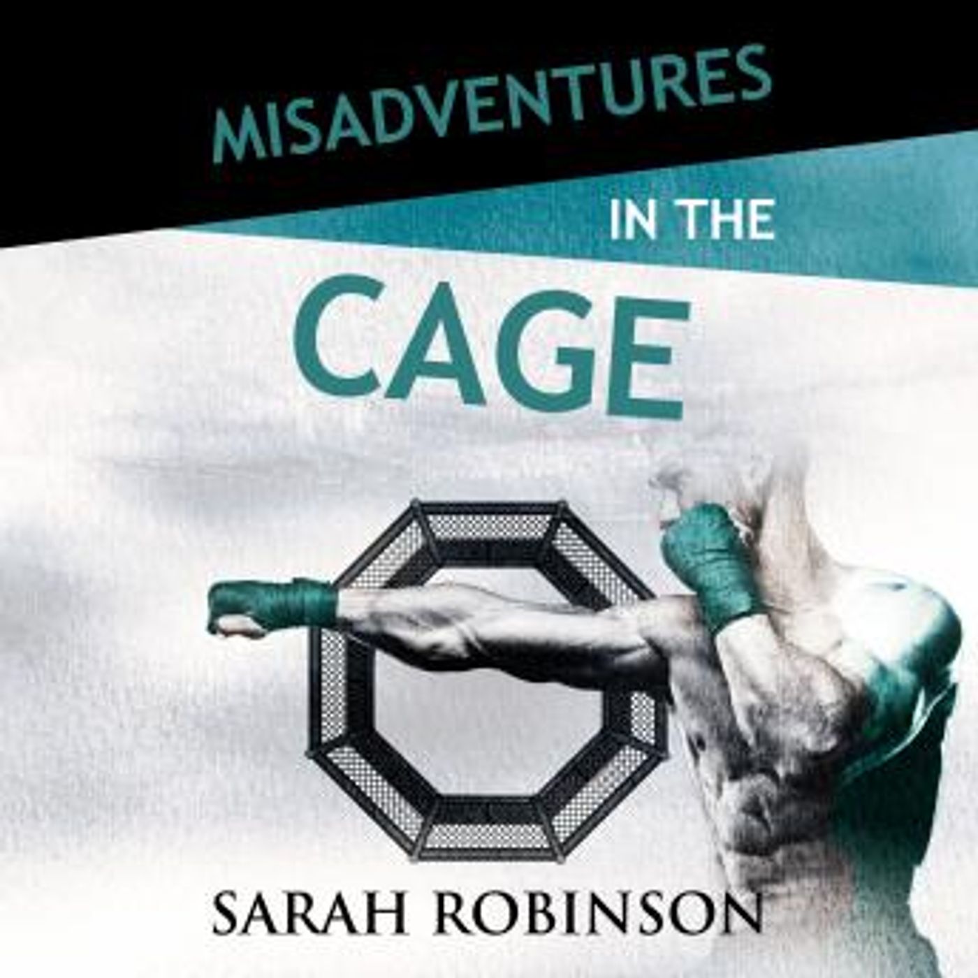 Get Latest Full Audiobooks in Romance, Modern