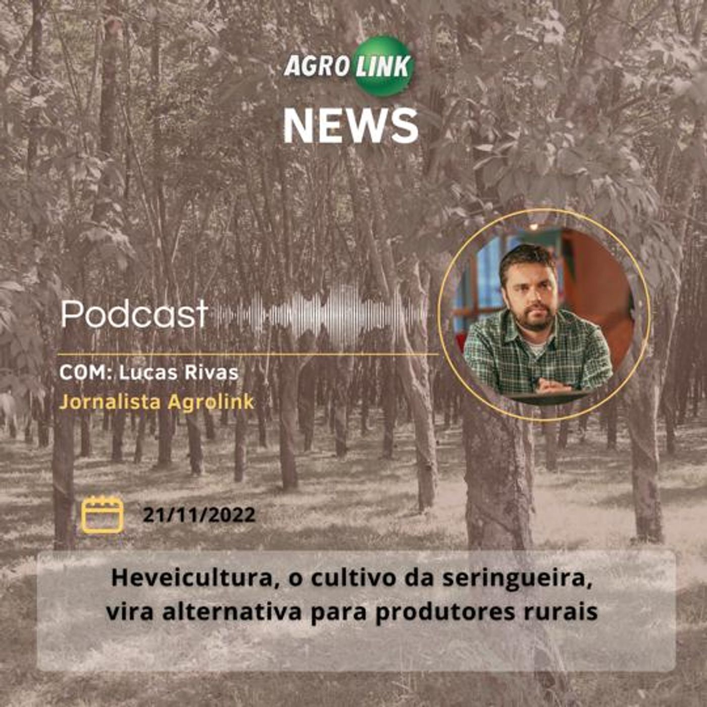 Cenoura e banana têm queda de preços em mercados atacadistas do país