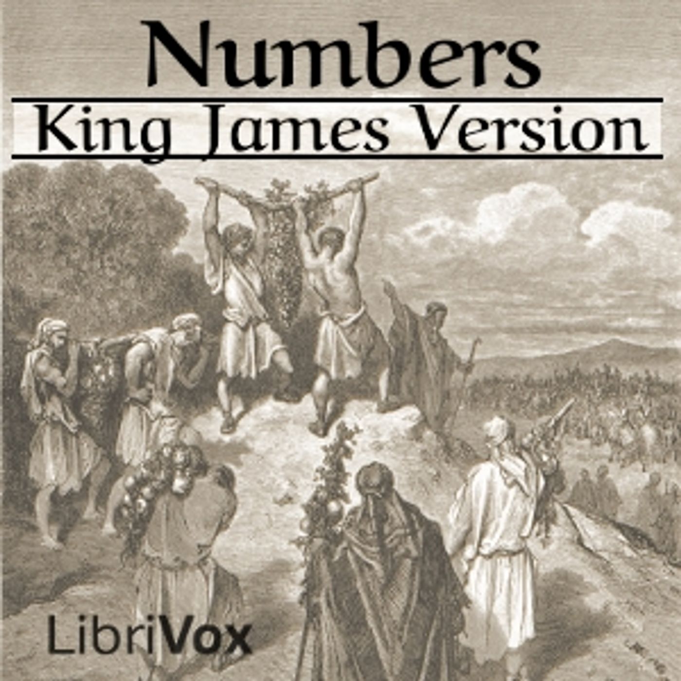 King James Bible - Numbers cover art