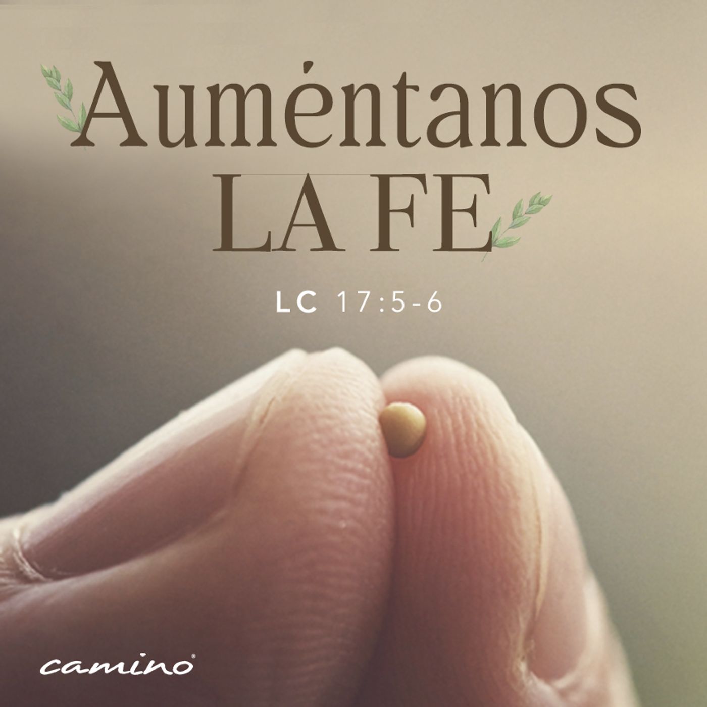 Oración 21 de noviembre (Auméntanos la fe) episode artwork