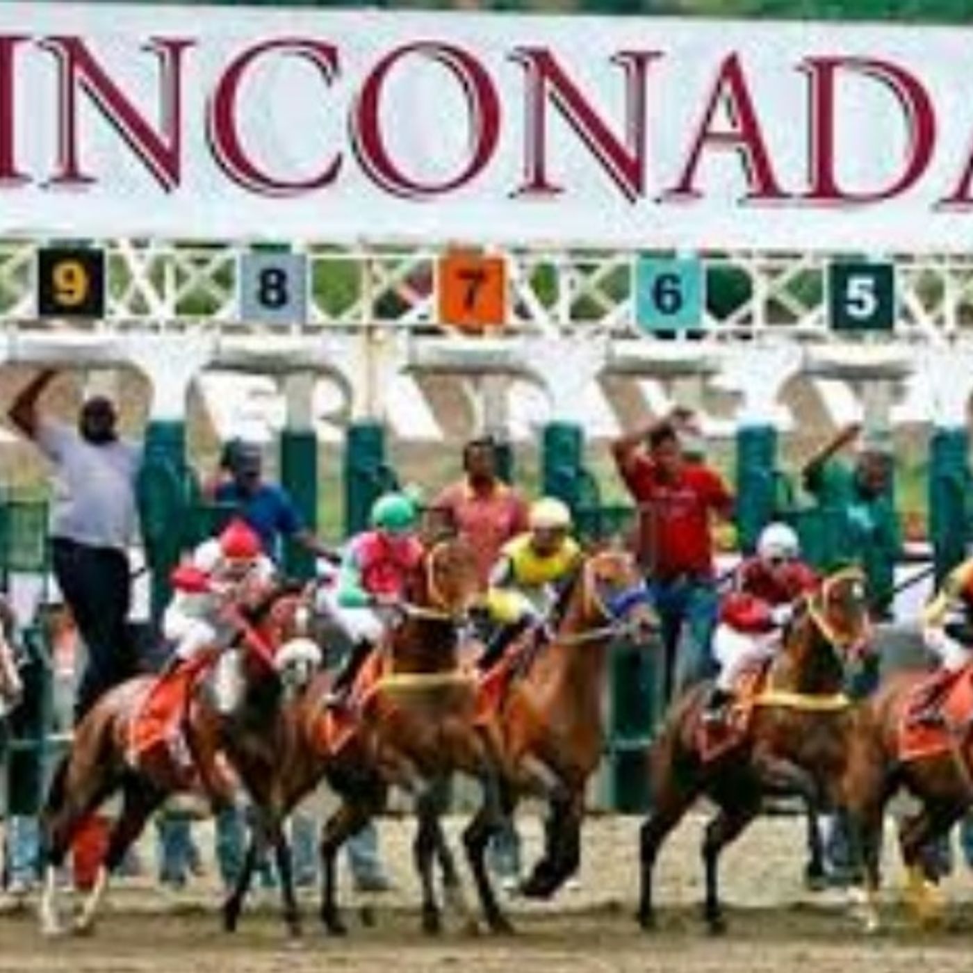 CARRERAS HIPODROMO LA RINCONADA