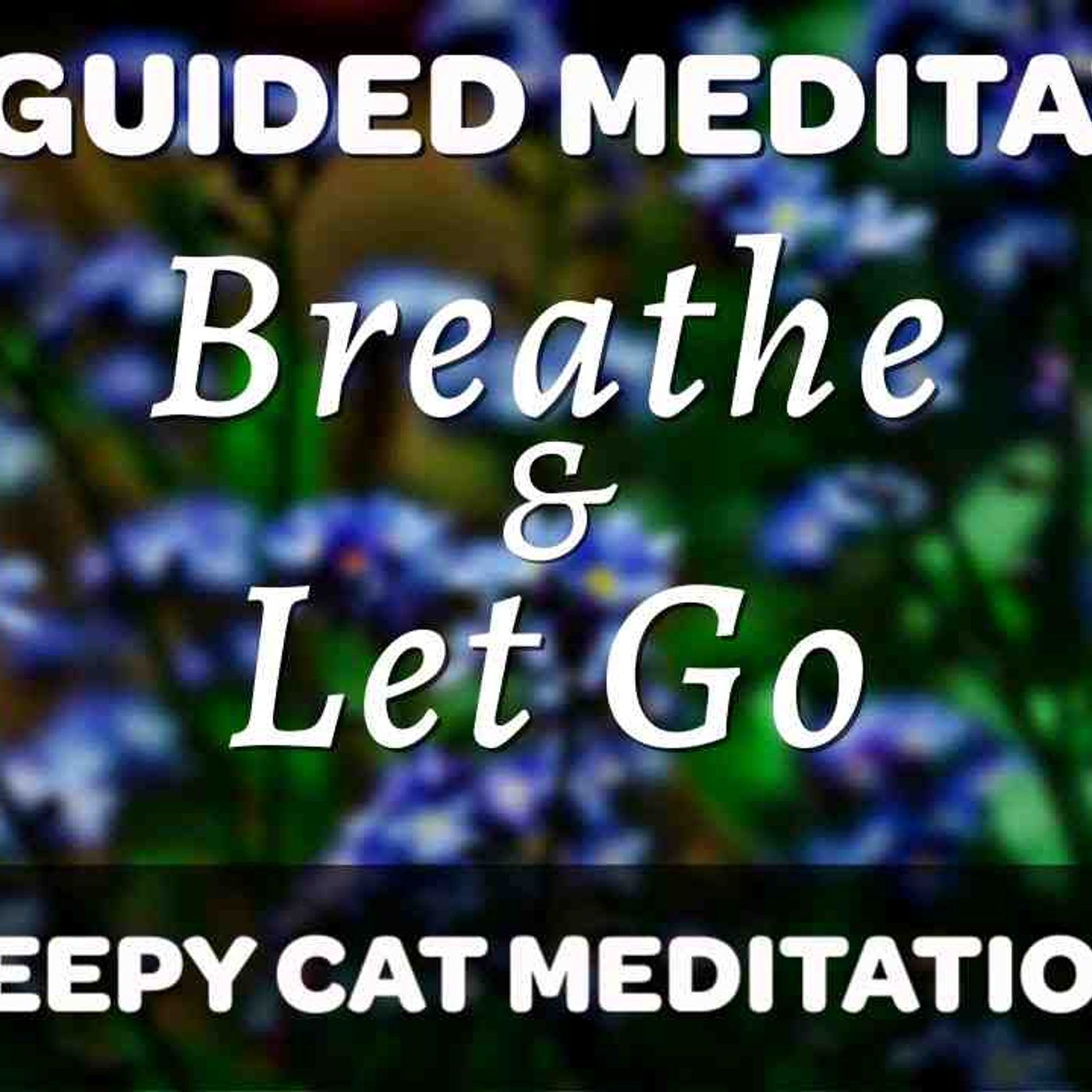 _Breathe _ Let Go_ -  Dissolve Anxiety and Find Peace (10-Minute Guided Meditation)