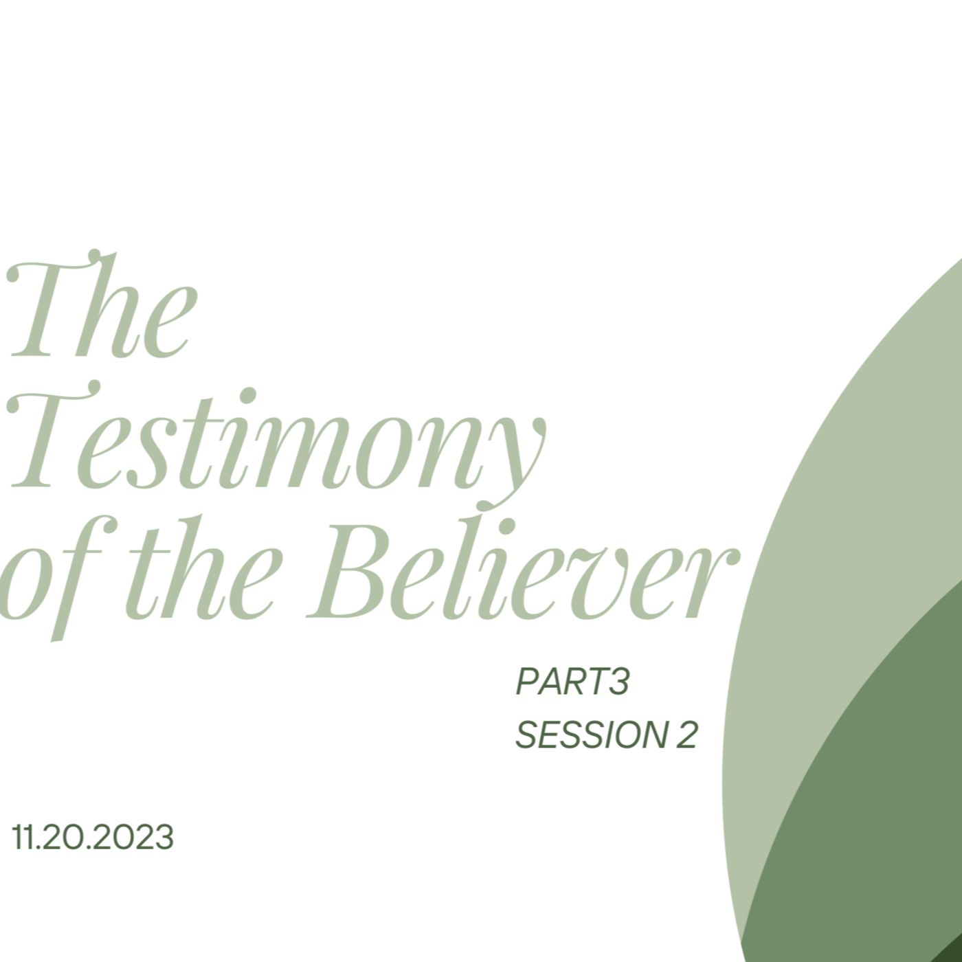 The Testimony Of The Believer Part 3 (Session 2) episode artwork