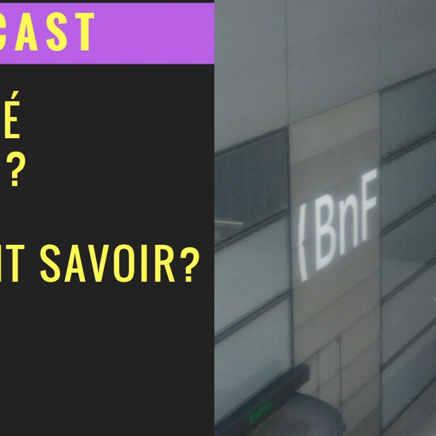 Lionel Estan-zebreetnet.fr show