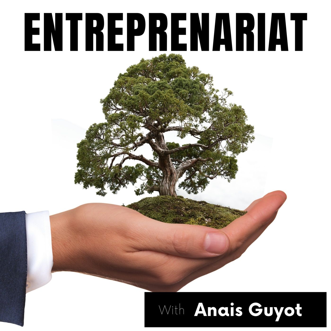 Réussir son entreprenariat