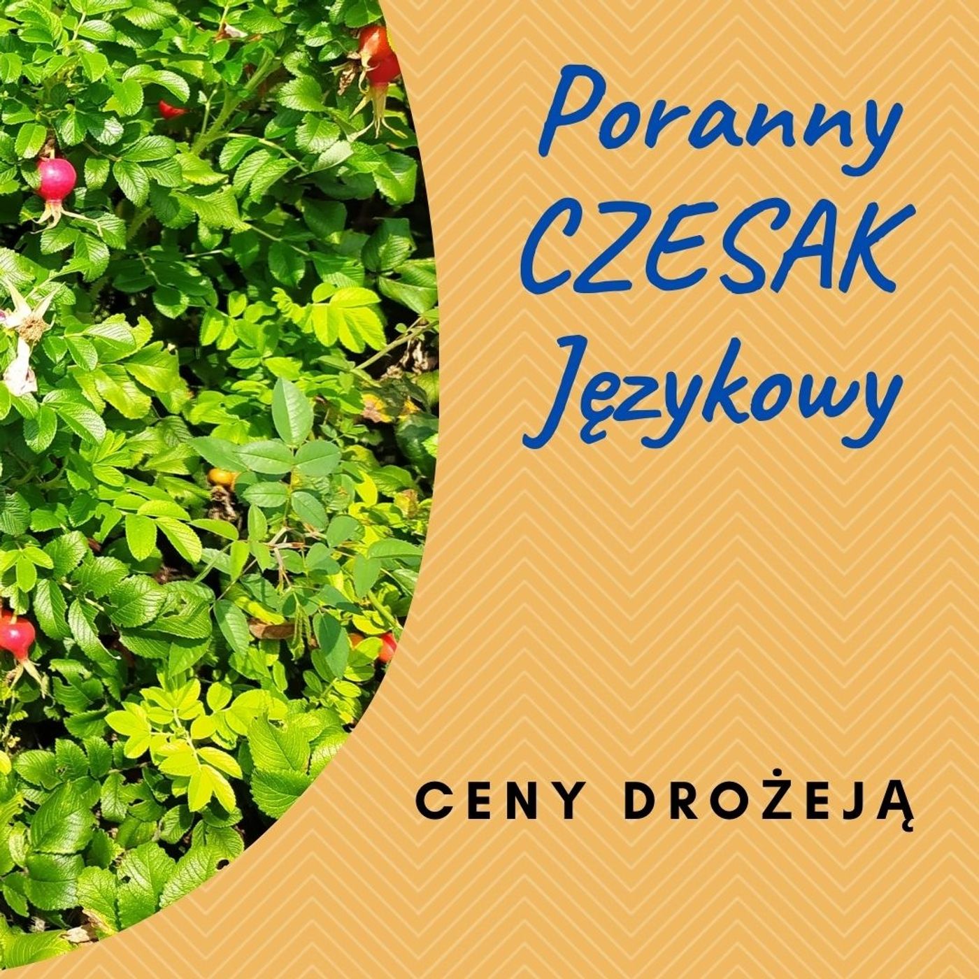 Poranny Czesak Językowy