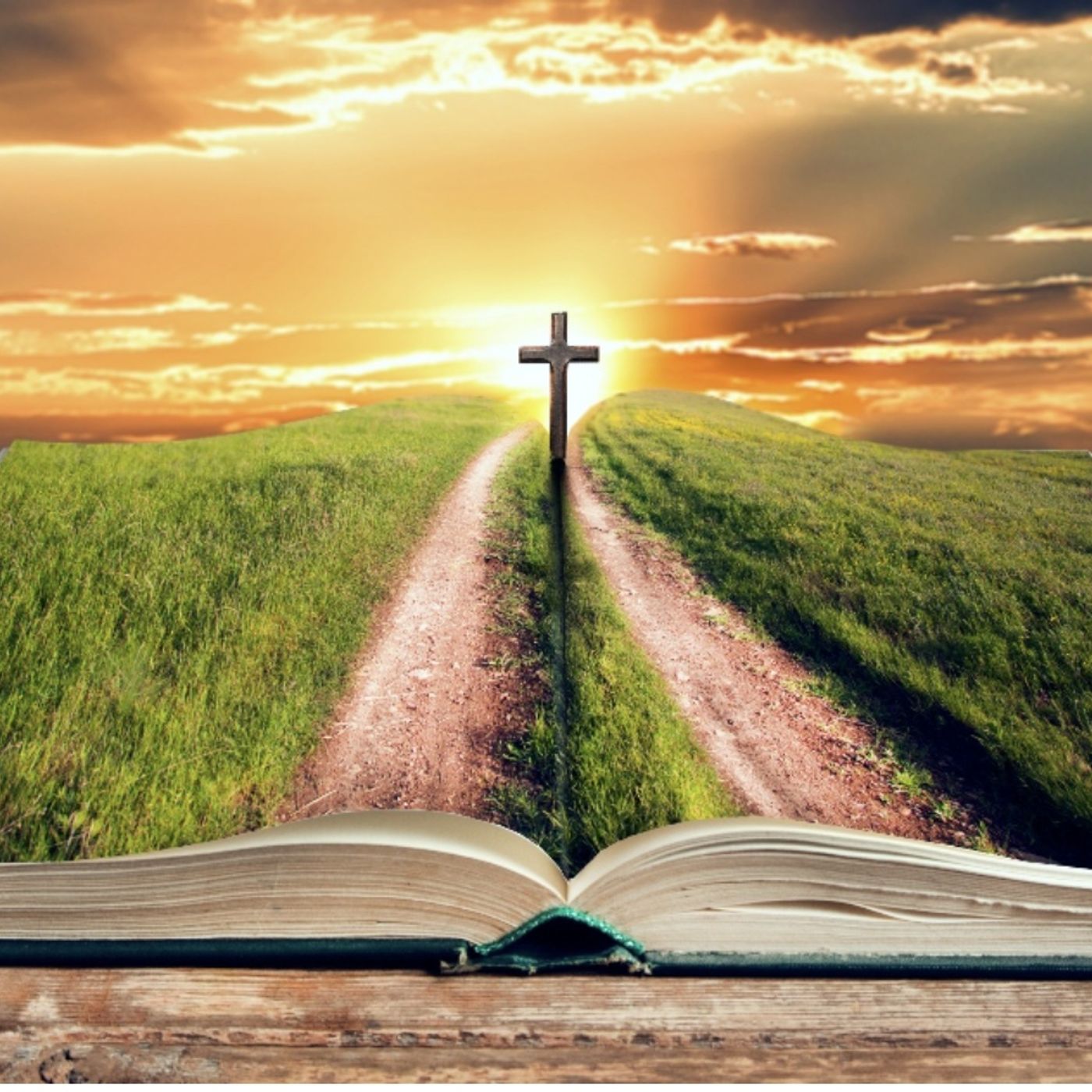 Psalms chapter 38