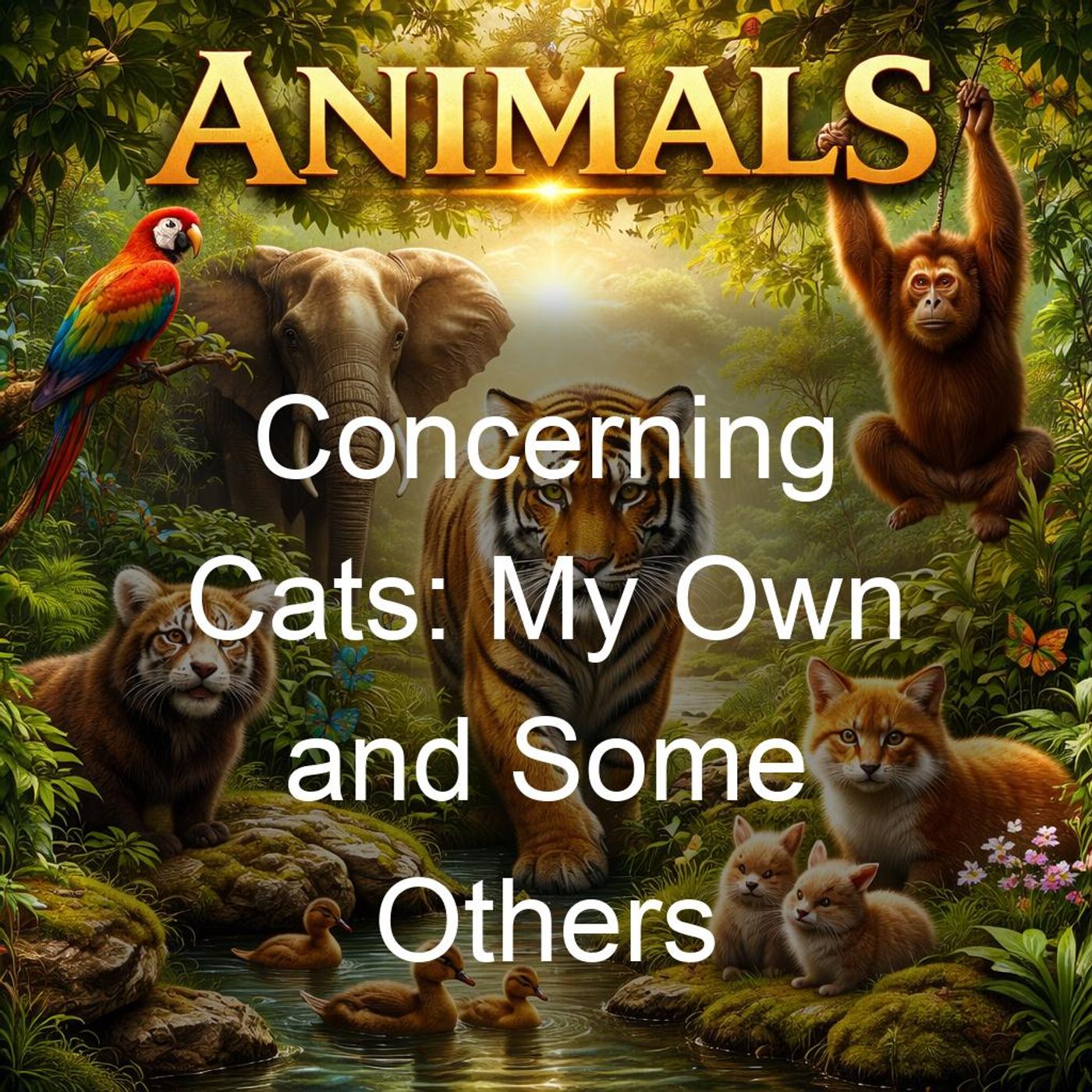 Concerning Cats: My Own and Some Others