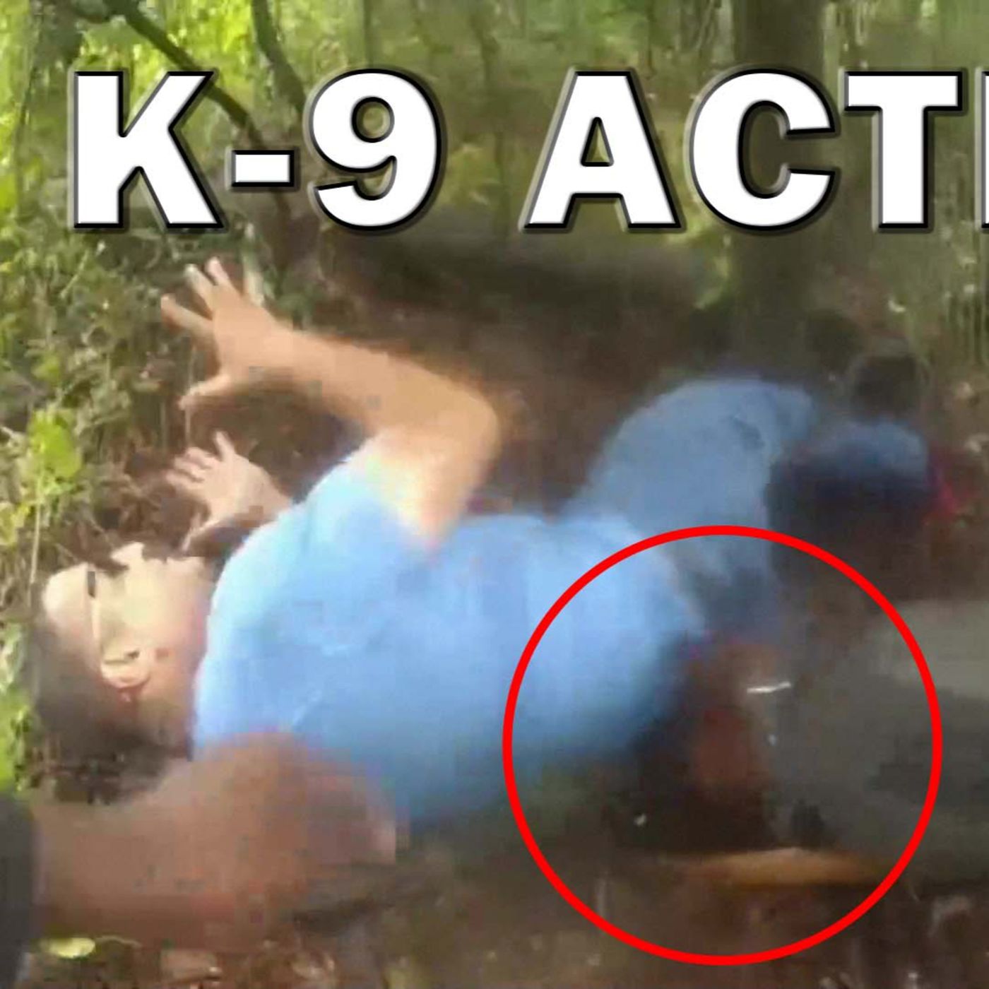 K-9 Chomps Down Hard On A Fleeing Bad Guy On Video! LEO Round Table S08E115 episode artwork