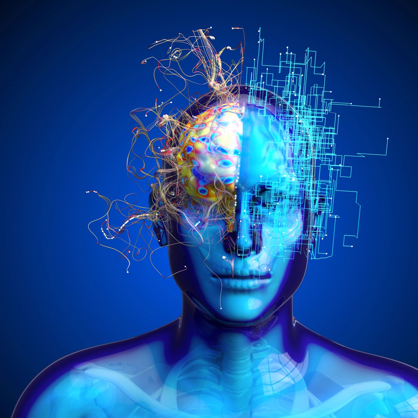 Più allenati, più intelligenti (o quasi).