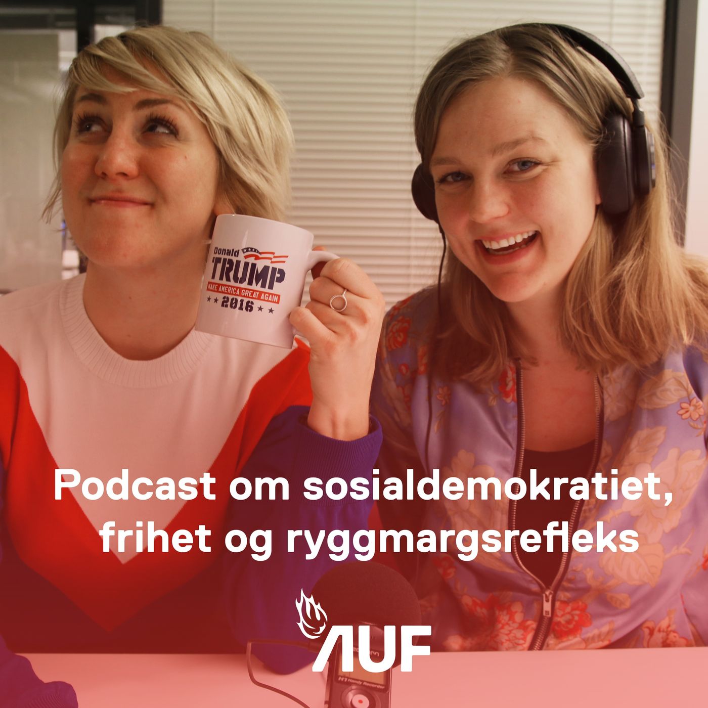 Partikontoret #6: Sosialdemokratiet, frihet og ryggmarksrefleks