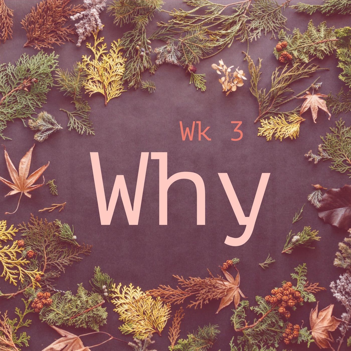3: Finding Your Why episode artwork