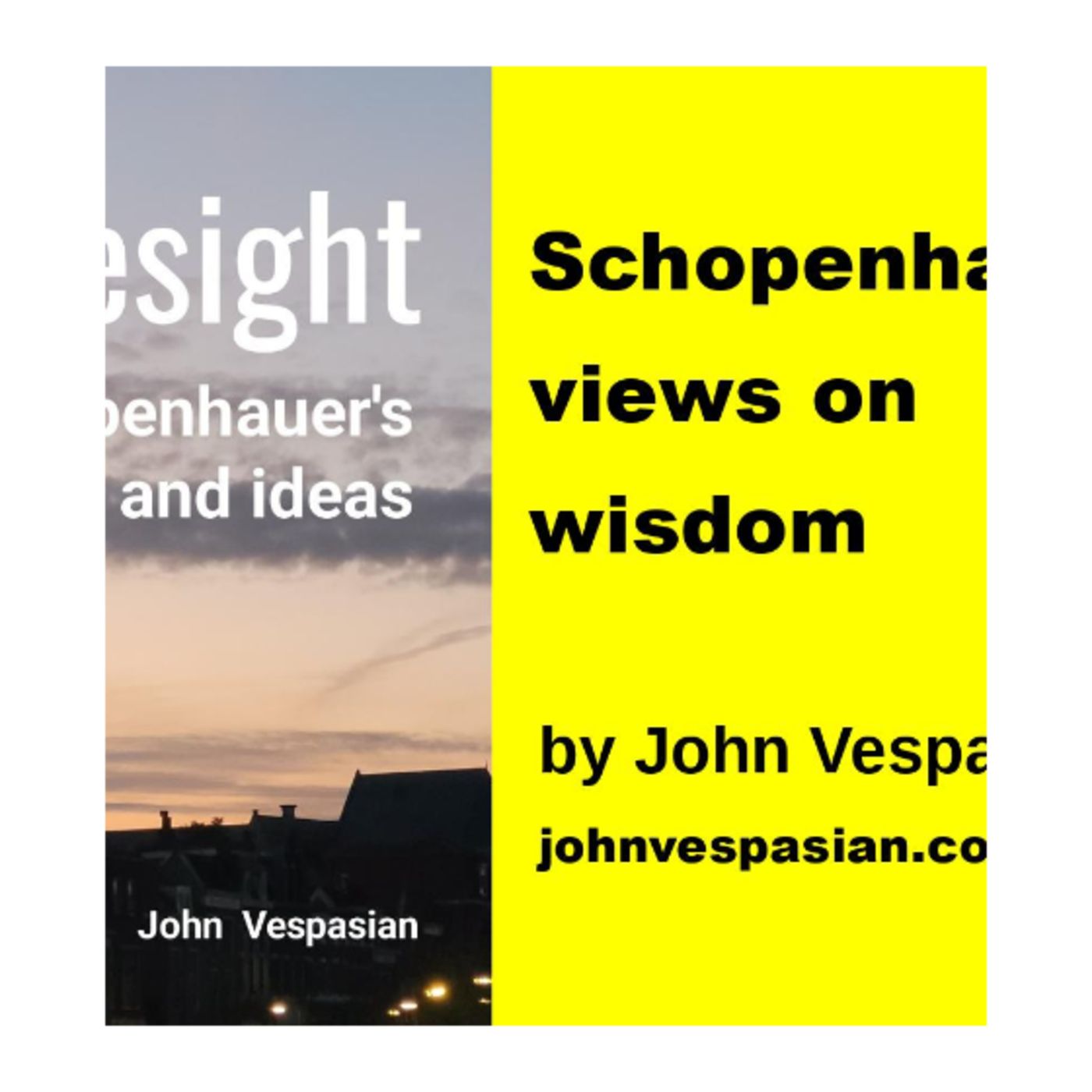 Schopenhauer’s views on wisdom episode artwork
