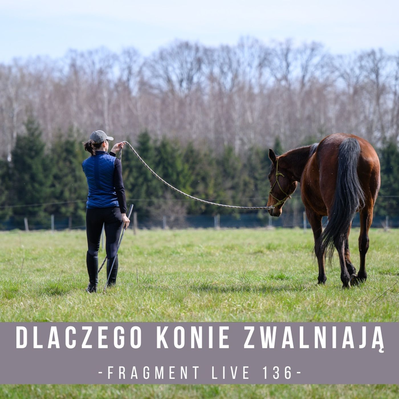 Dlaczego konie zwalniają - fragment live 136