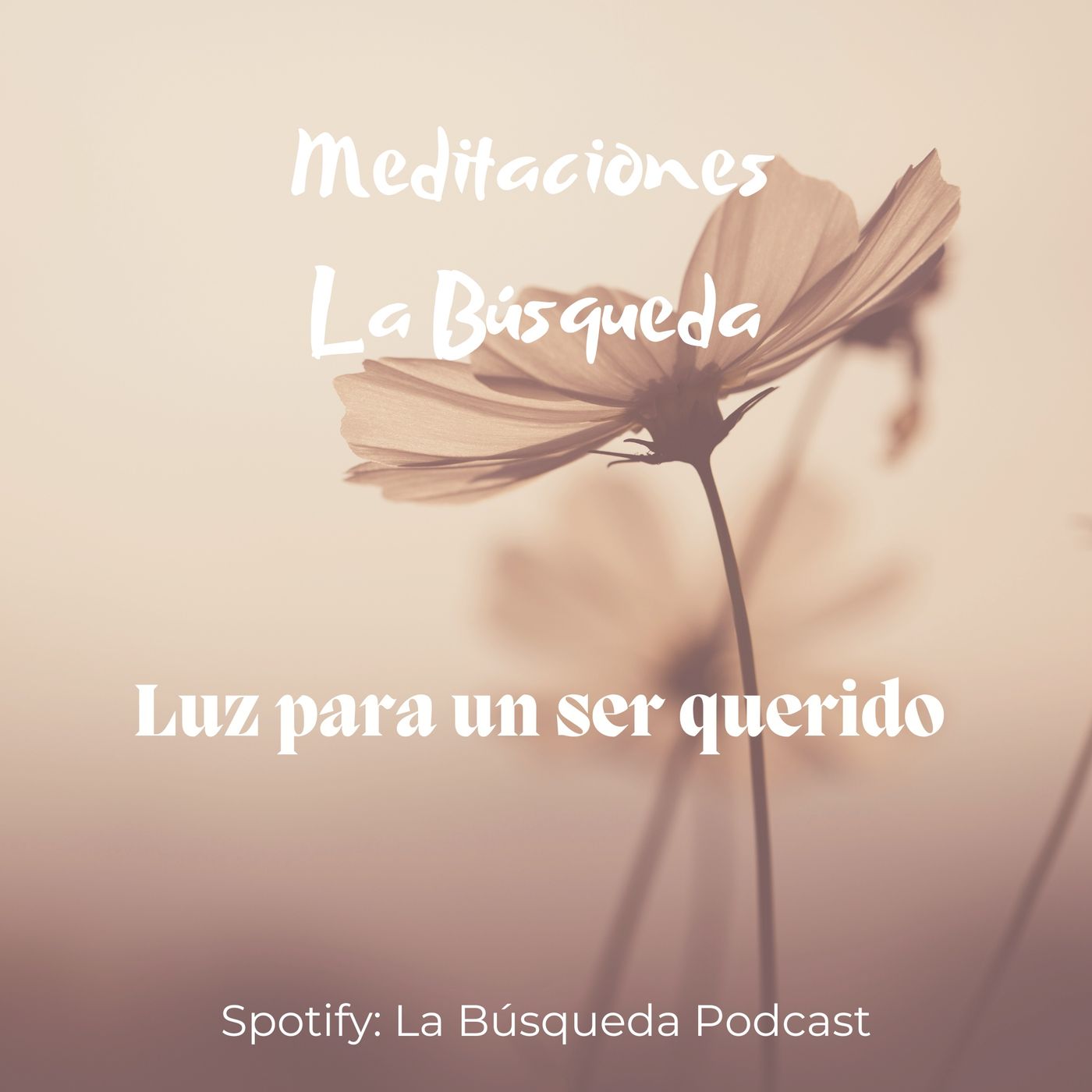 Luz para un ser querido.