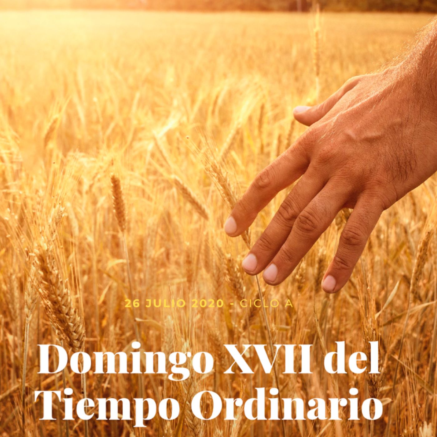 XVII Domingo del T.O. Stos. Joaquín y Ana