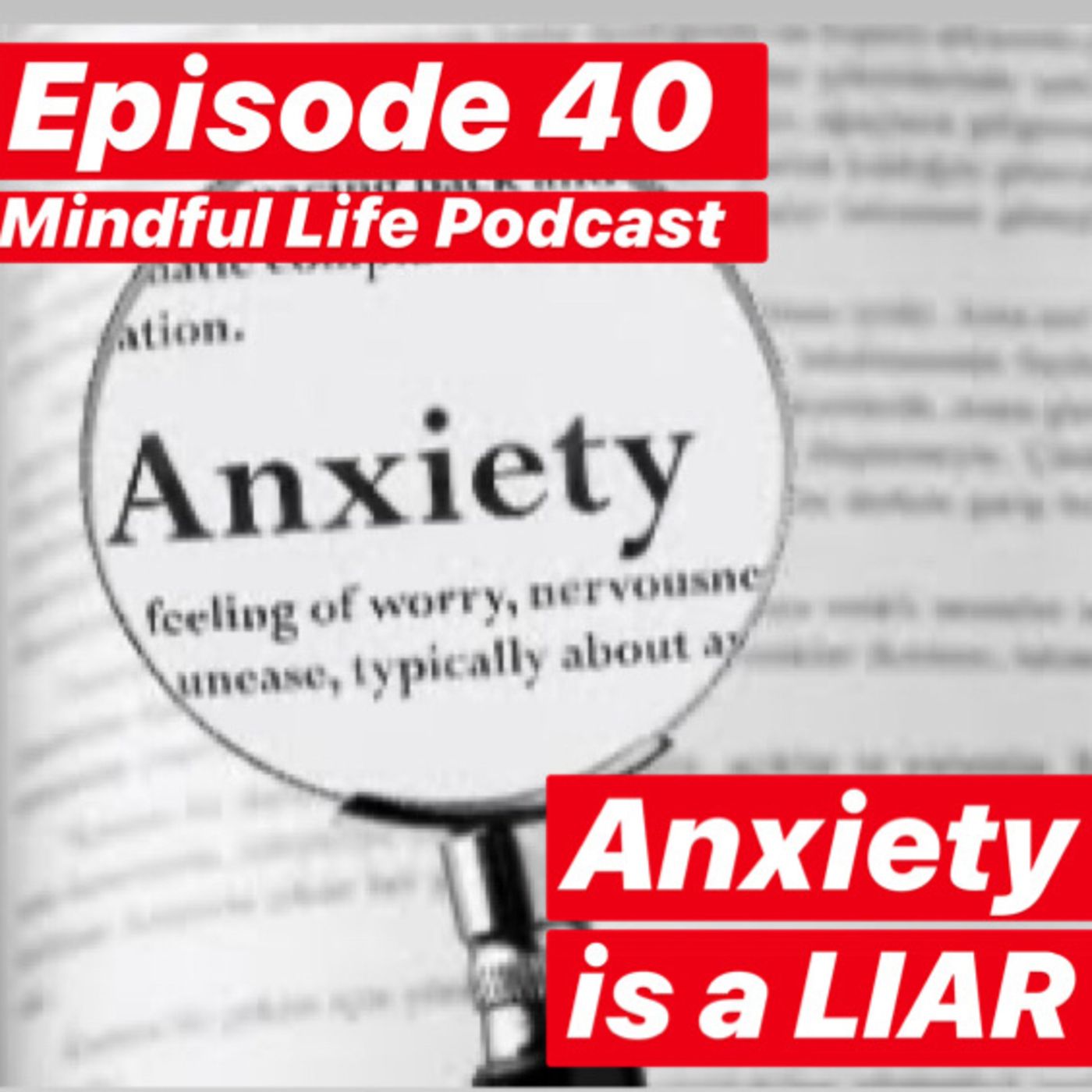 Mindful Life Podcast