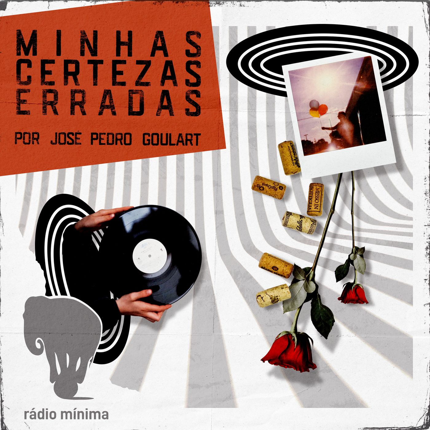 Minhas Certezas Erradas