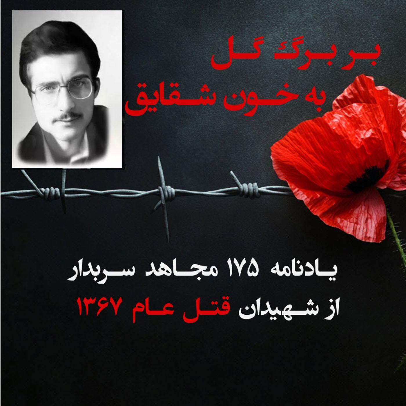 بربرگ گل به خون شقایق- مهران صمدزاده episode artwork