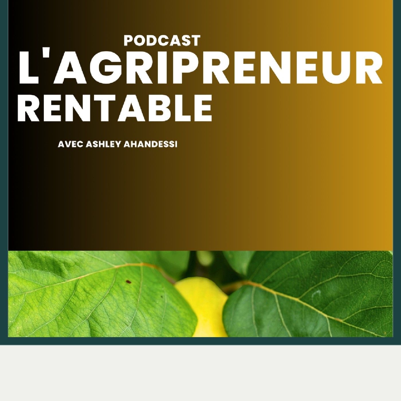 L'Agripreneur Africain Rentable cover art