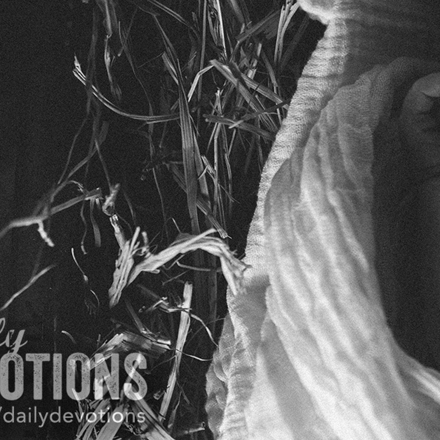 Daily Devotions - Prophesying Peace episode artwork
