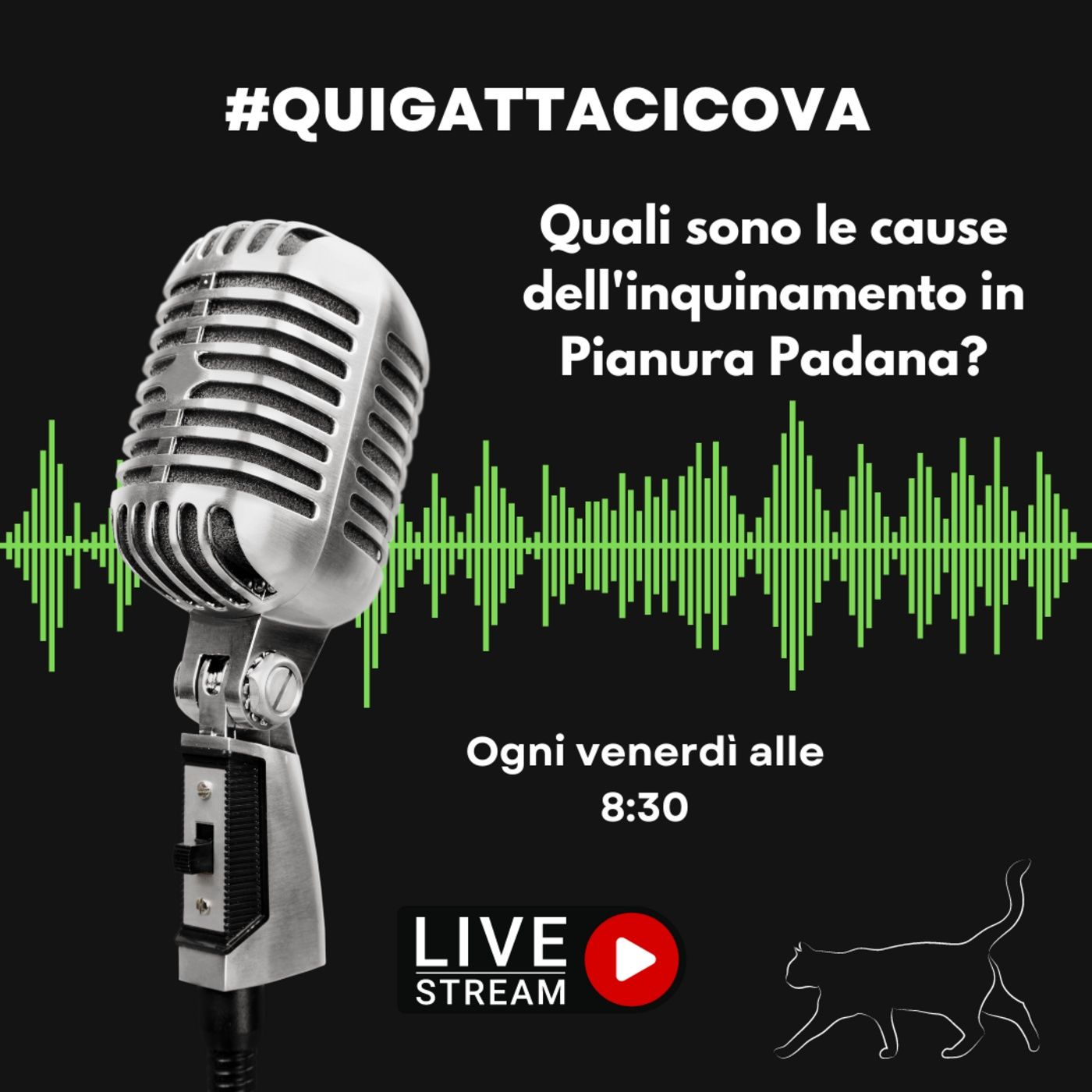 Quigattacicova - Il podcast della gatta trevigliese