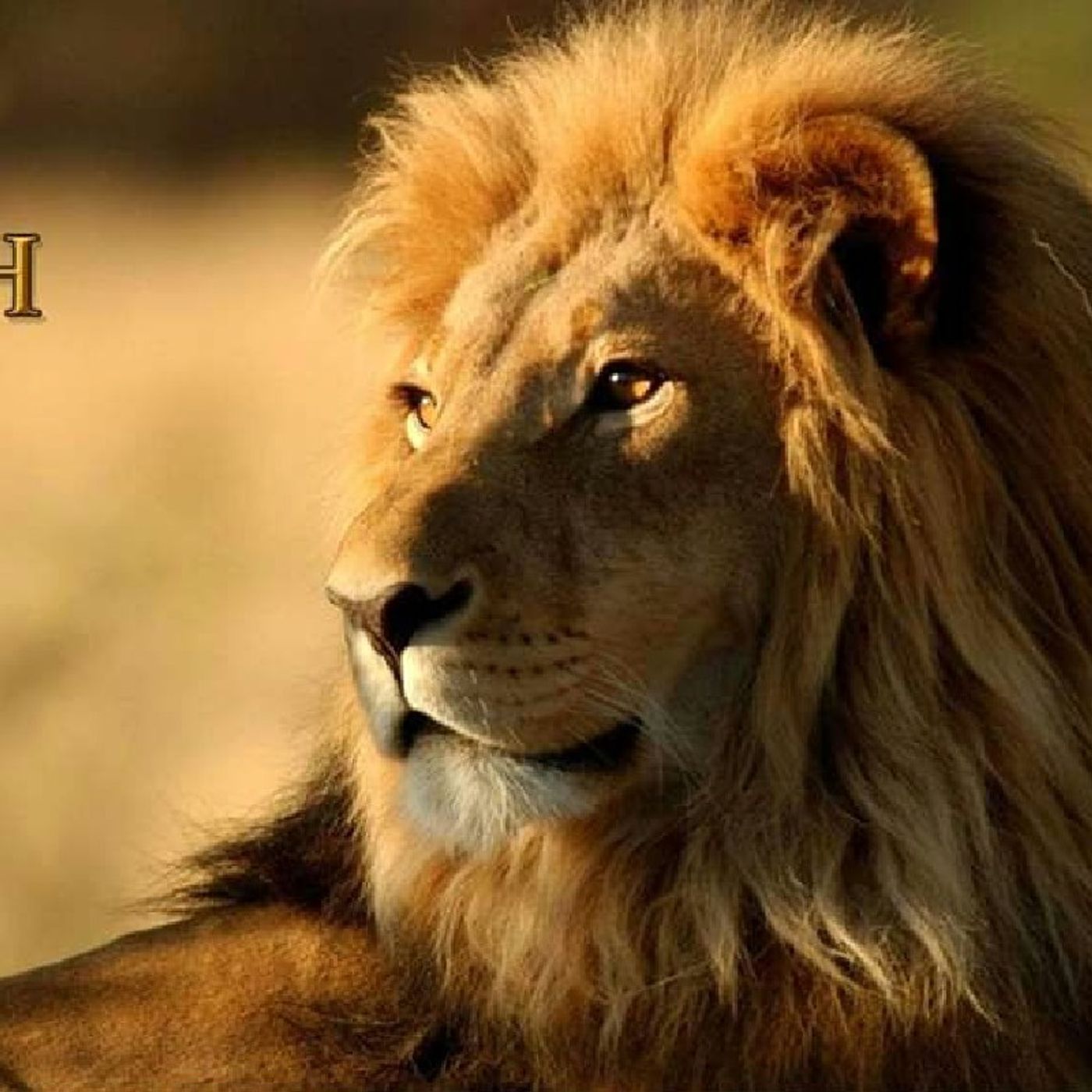 PRAYER OF JEHU