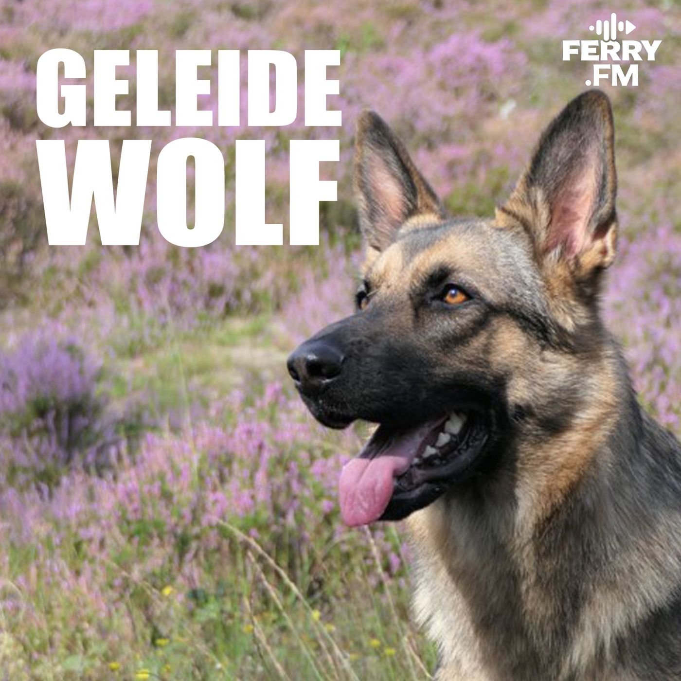 Geleidewolf voor vrienden