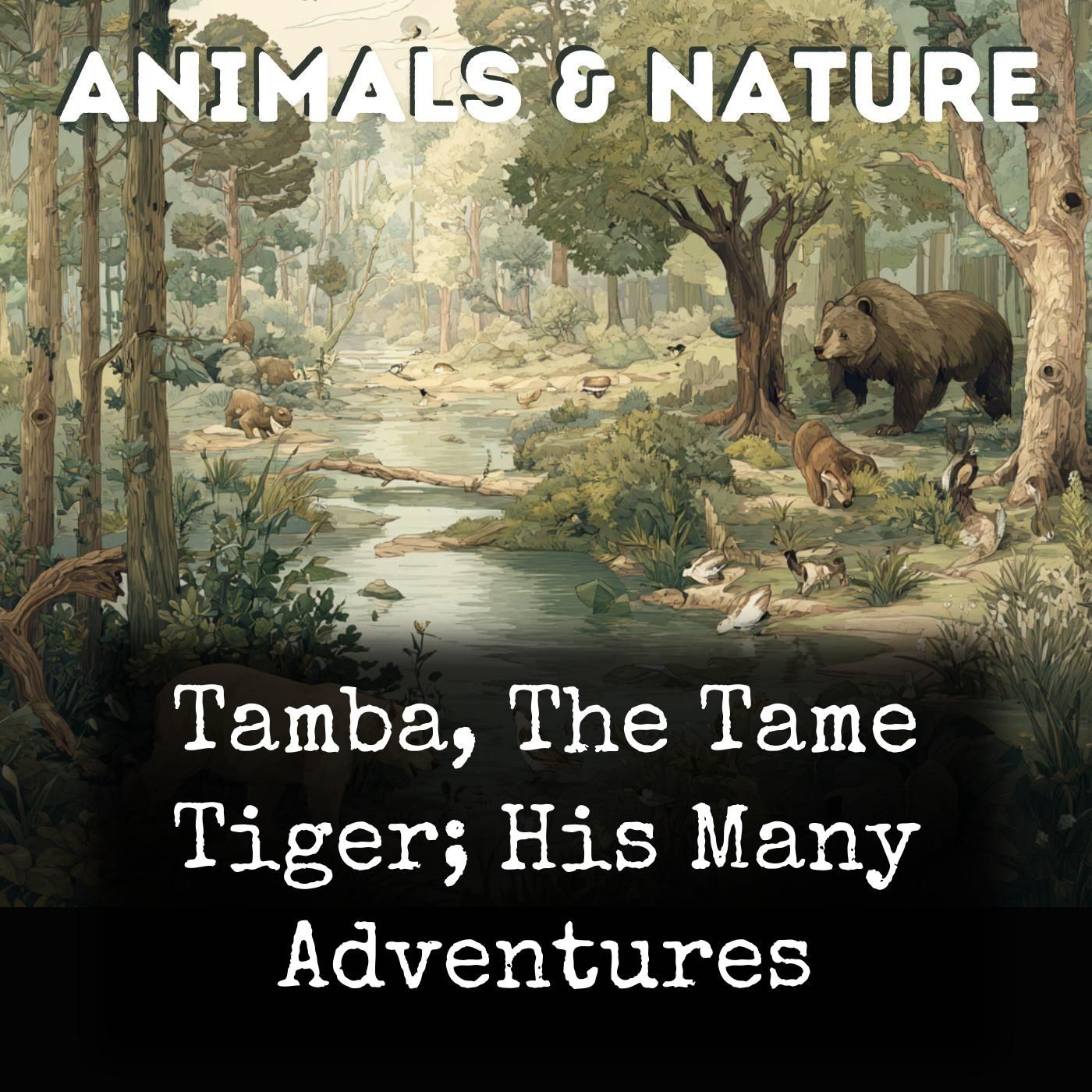 Tamba, The Tame Tiger; His Many Adventures cover art