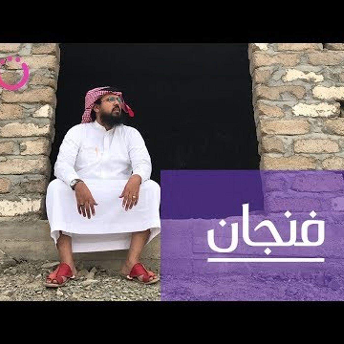 عندما سكنت المطار 22 يومًا episode artwork