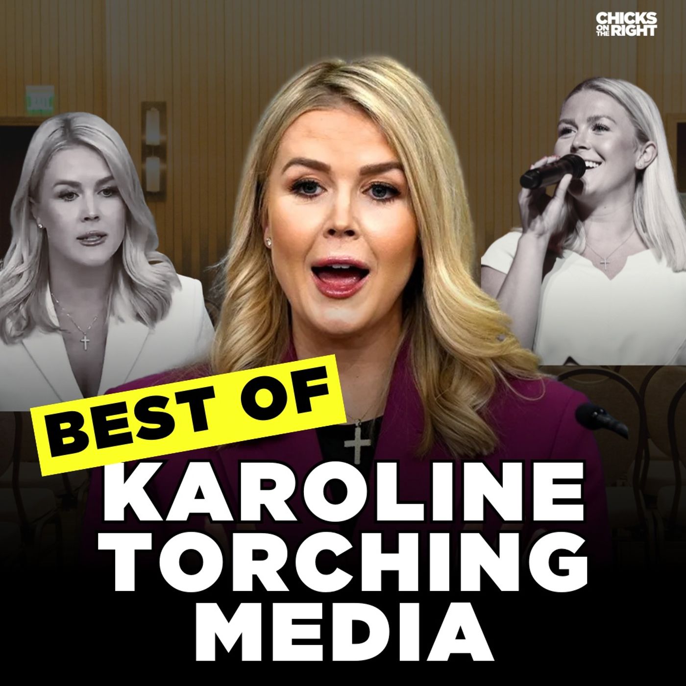 Karoline Leavitt TORCHES the Media | Best Moments of 2025