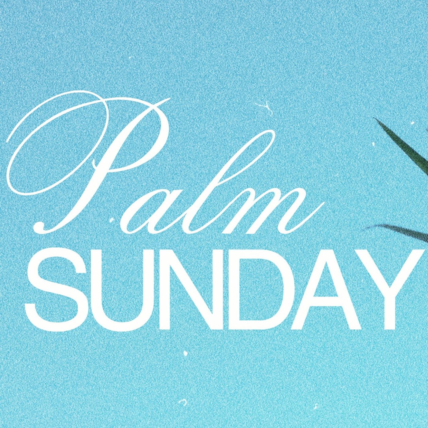 Palm Sunday | Selah Campus episode artwork