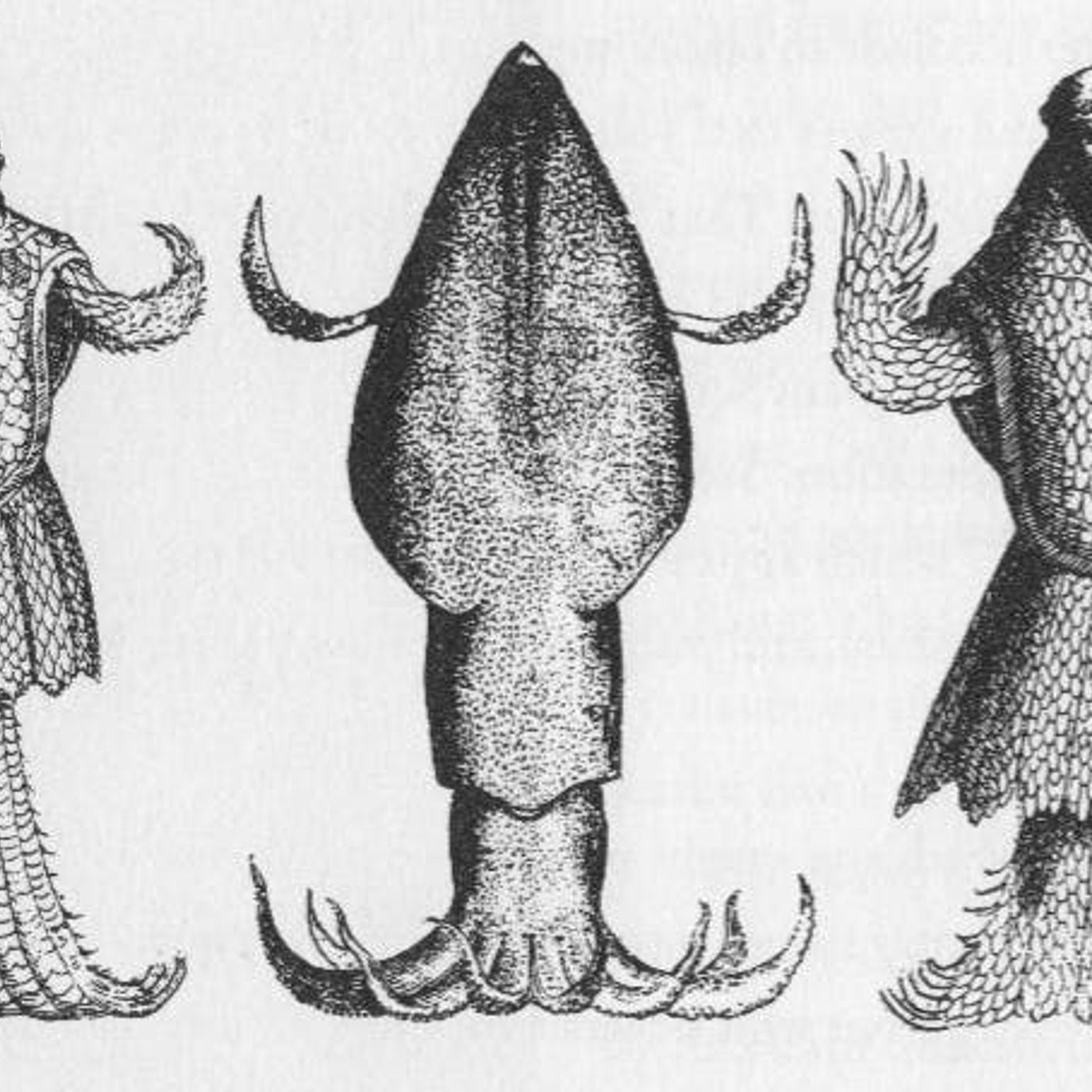 Science and Sea Monster