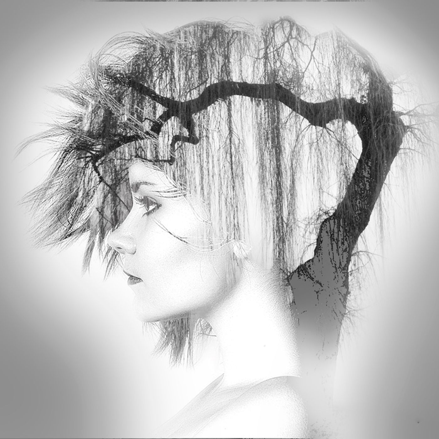 Missing 411 Missing 411