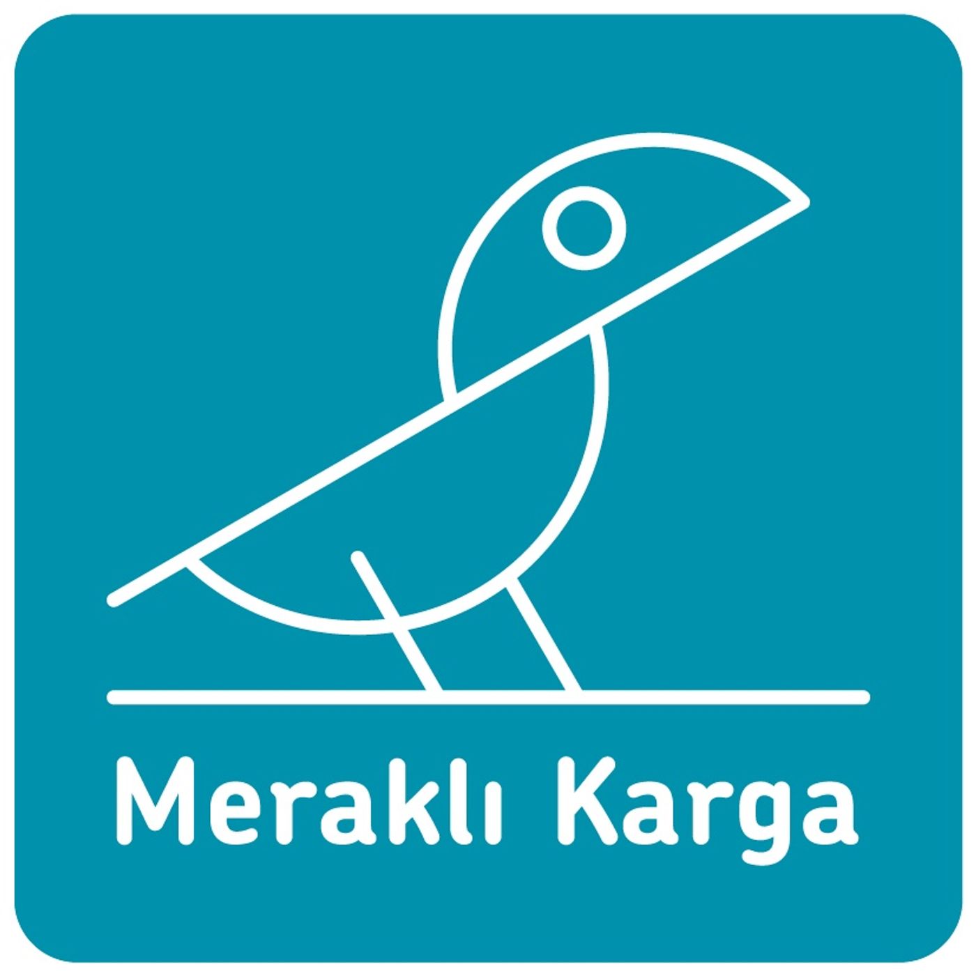 Meraklı Karga ile Öğrenmenin Neşesi