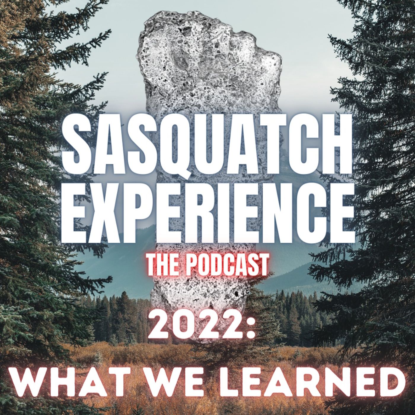 Sasquatch Experience