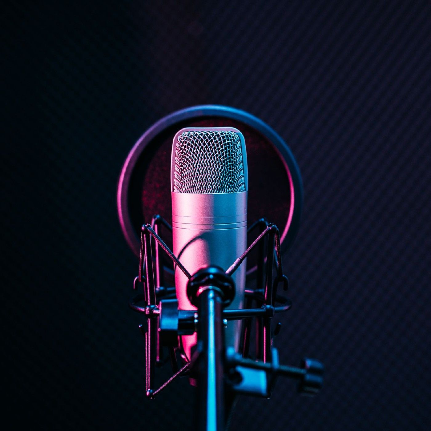 La importancia del control de plaga