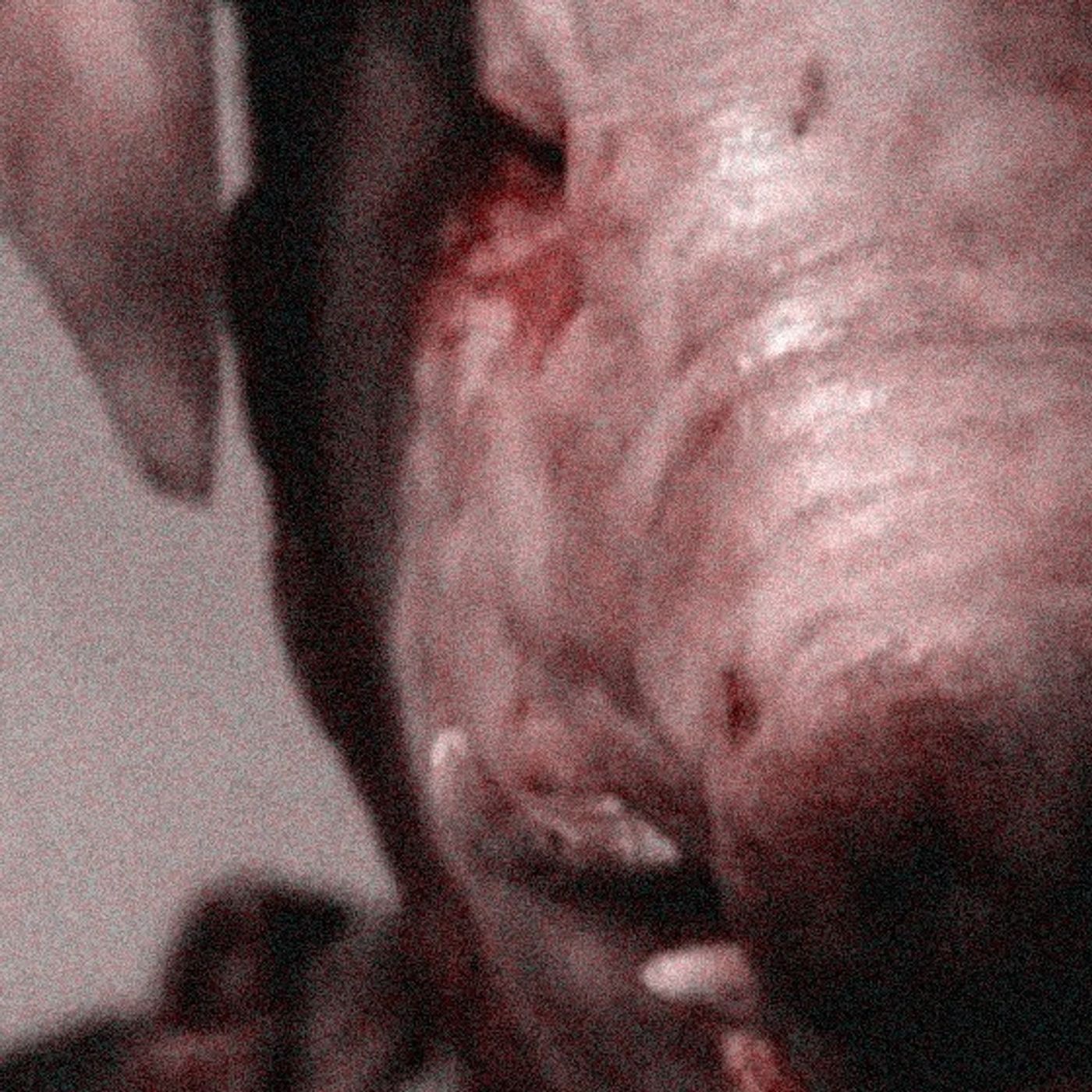 El Cerdo Gigante Historias De Terror - REDE