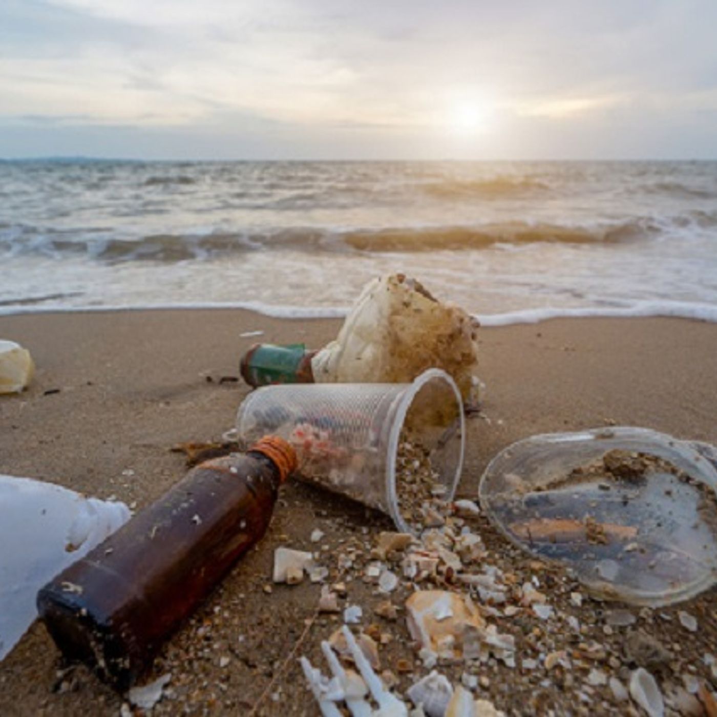 (Smile File) Elementary school students invent machine to clear beach trash episode artwork