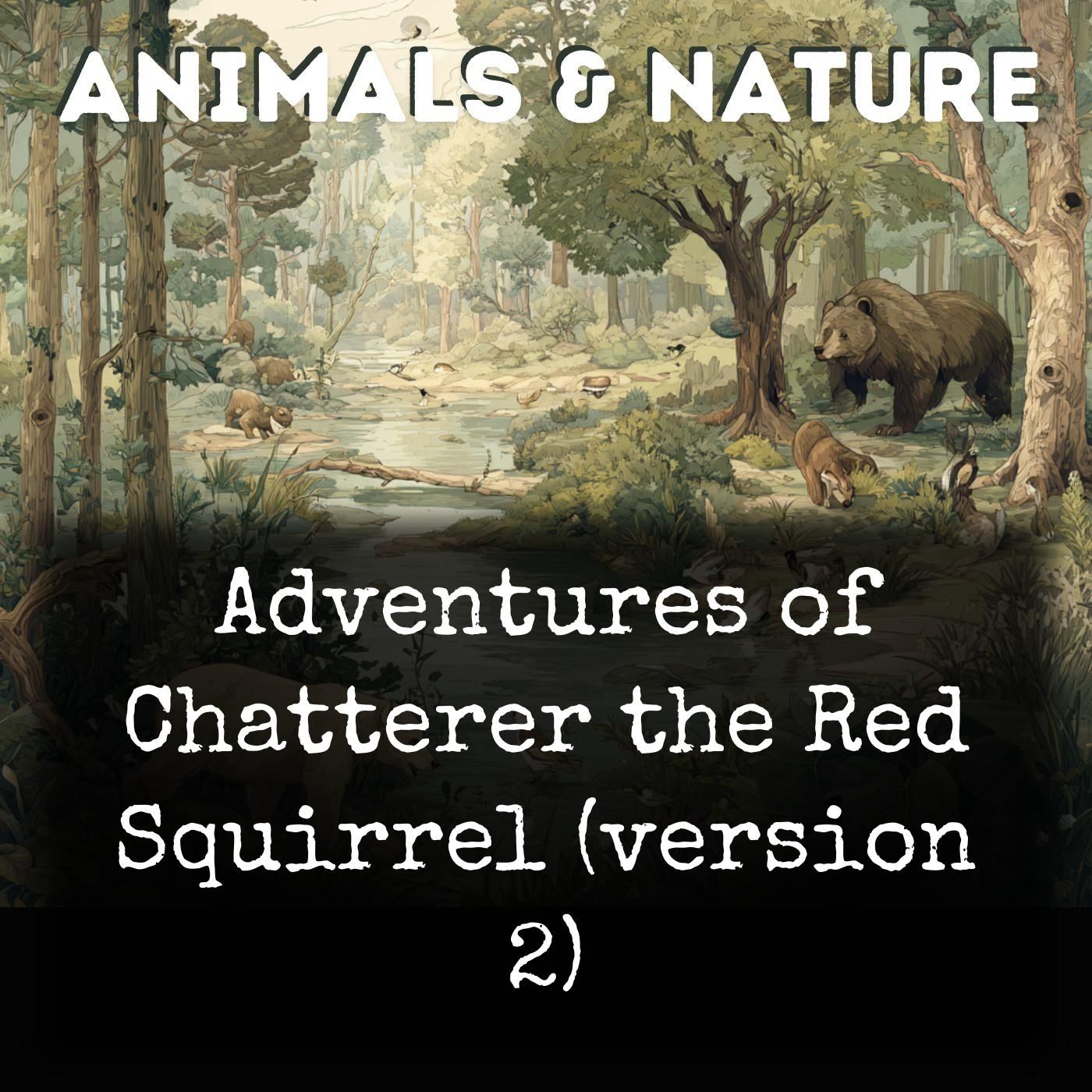 Adventures of Chatterer the Red Squirrel (version 2) podcast artwork