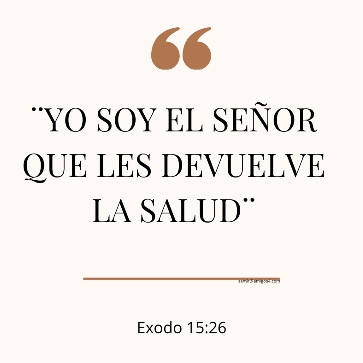 17 días / Personajes de la Navidad. ¿Qué significa la Navidad?