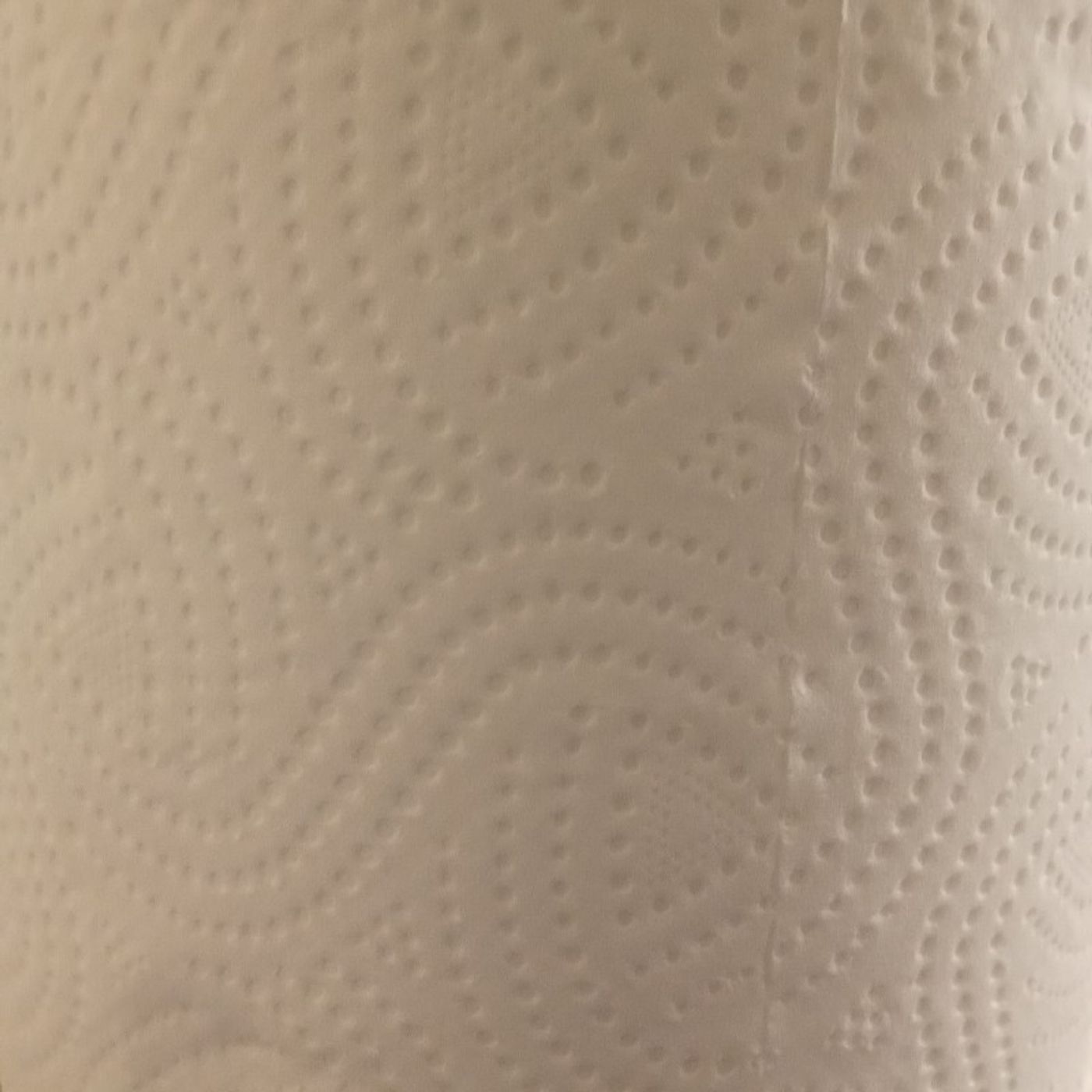 Kitchen Roll Effect episode artwork