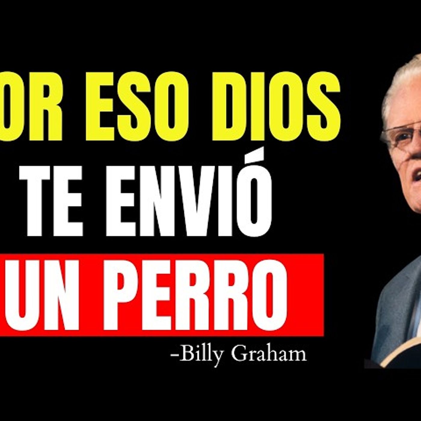 ESTA ES LA MISIÓN ESPIRITUAL DE TU PERRO SEGÚN LA BIBLIA, ¿TIENES UNO EN CASA? - Predicas Cristianas