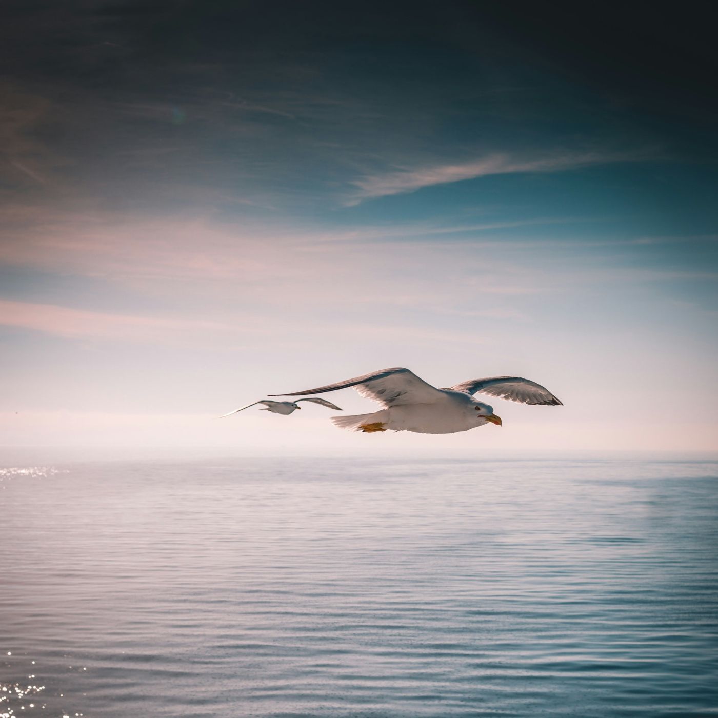 Sanar También Es Para Ti