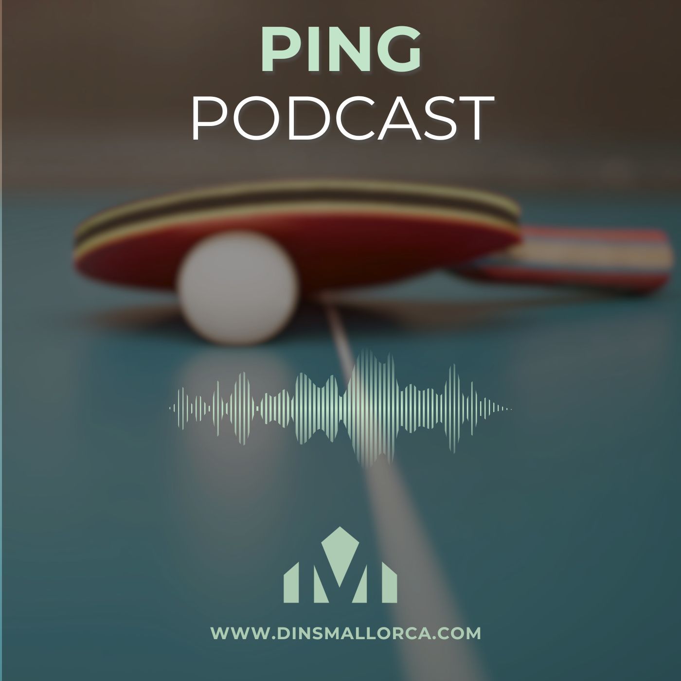 Ping Podcast Romina episode artwork